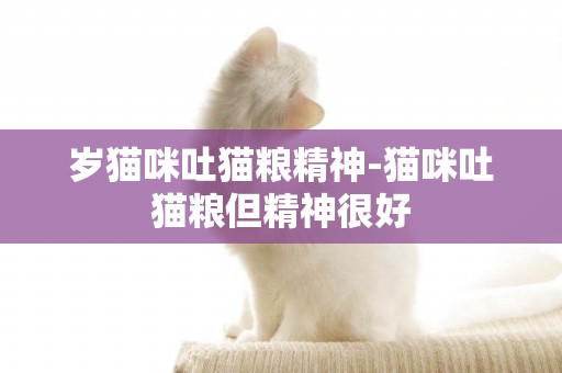歲貓咪吐貓糧精神-貓咪吐貓糧但精神很好