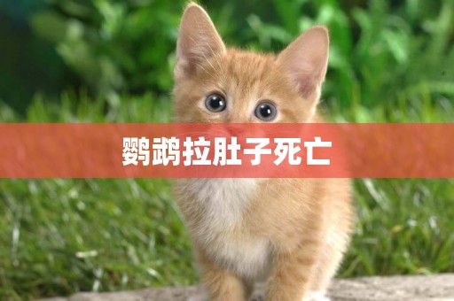 鸚鵡拉肚子死亡