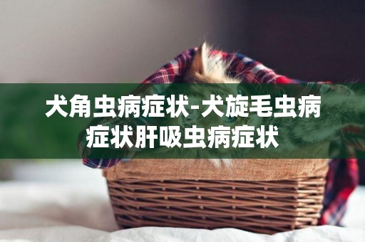 犬角蟲病癥狀-犬旋毛蟲病癥狀肝吸蟲病癥狀