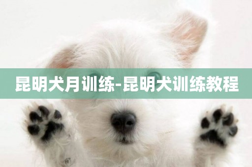 昆明犬月訓練-昆明犬訓練教程