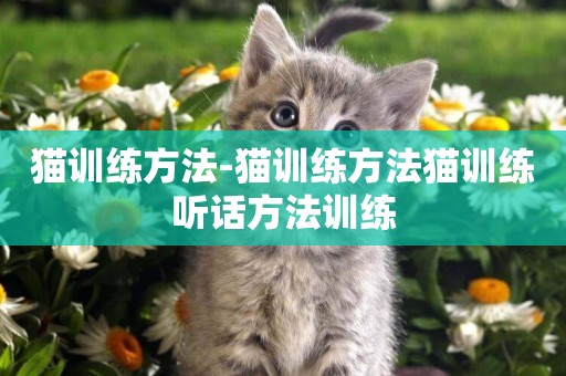 貓訓練方法-貓訓練方法貓訓練聽話方法訓練