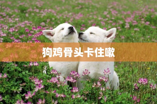 狗雞骨頭卡住嗽
