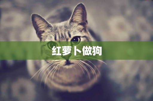 紅蘿卜做狗