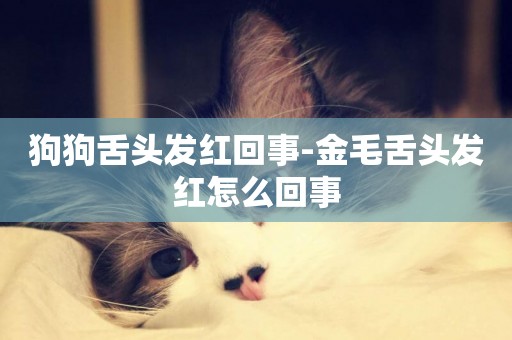 狗狗舌頭發紅回事-金毛舌頭發紅怎么回事