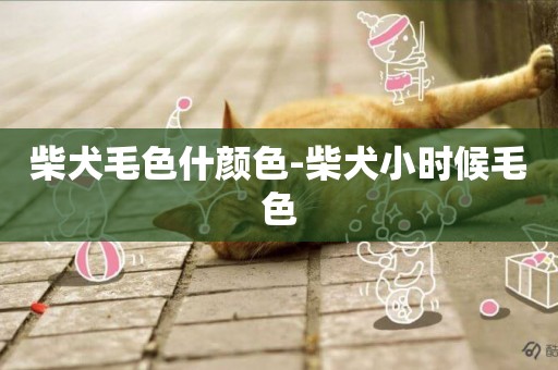 柴犬毛色什顏色-柴犬小時候毛色
