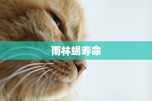 雨林蝎壽命