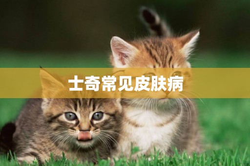 士奇常見皮膚病