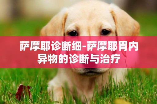 薩摩耶診斷細-薩摩耶胃內異物的診斷與治療