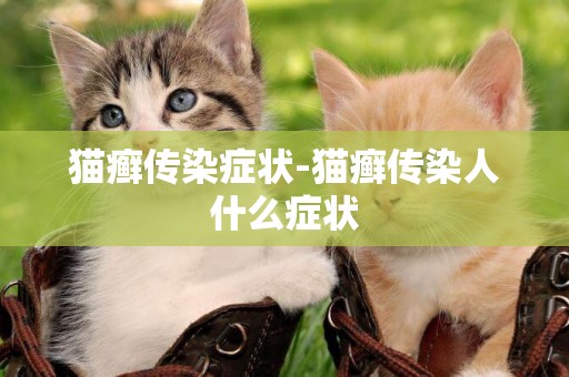 貓癬傳染癥狀-貓癬傳染人什么癥狀