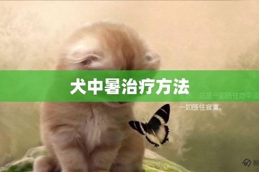 犬中暑治療方法