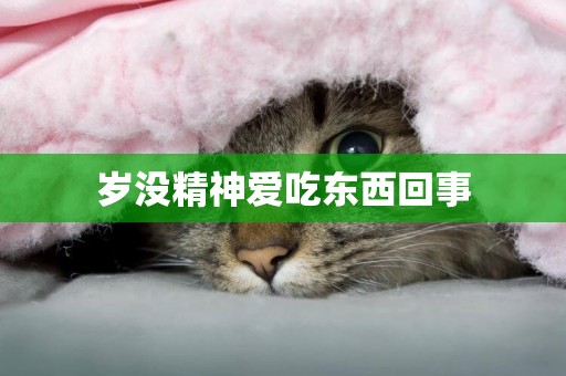 歲沒精神愛吃東西回事