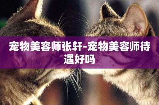 寵物美容師張軒-寵物美容師待遇好嗎