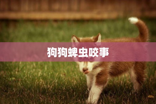 狗狗蜱蟲咬事