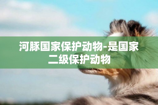 河豚國家保護動物-是國家二級保護動物