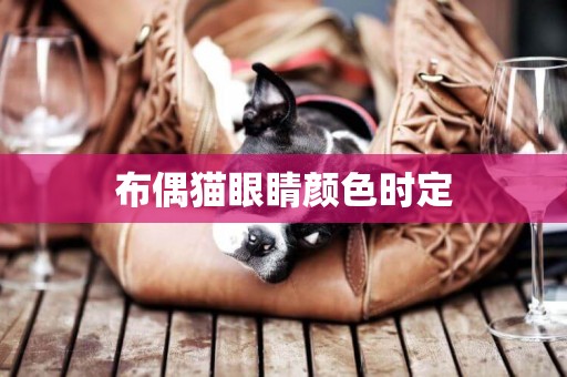 布偶貓眼睛顏色時定