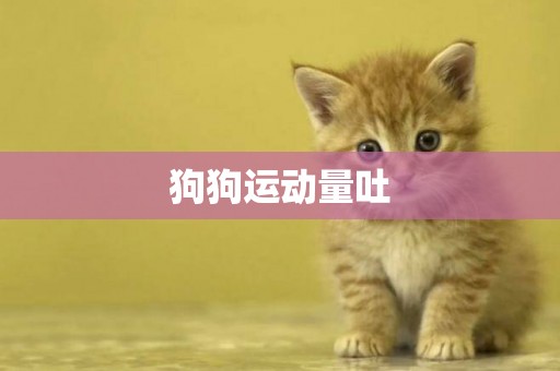 狗狗運動量吐