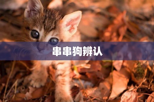 串串狗辨認