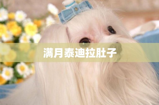 滿月泰迪拉肚子