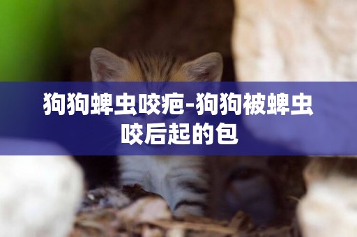 狗狗蜱蟲咬疤-狗狗被蜱蟲咬后起的包