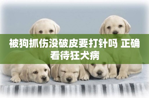 被狗抓傷沒破皮要打針嗎 正確看待狂犬病