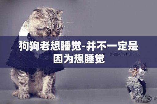 狗狗老想睡覺-并不一定是因為想睡覺