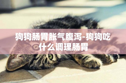 狗狗腸胃脹氣腹瀉-狗狗吃什么調理腸胃