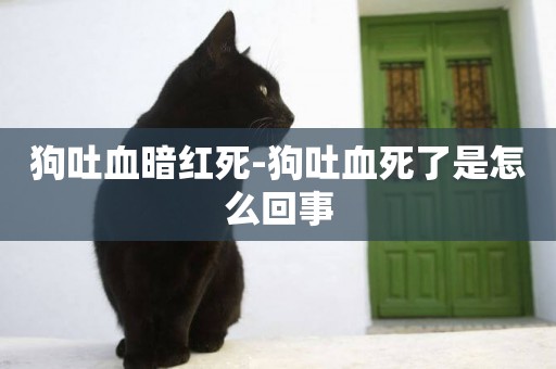 狗吐血暗紅死-狗吐血死了是怎么回事
