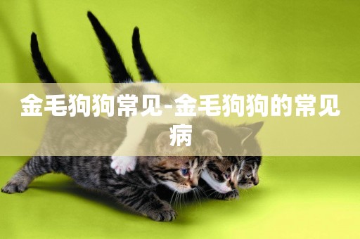 金毛狗狗常見-金毛狗狗的常見病