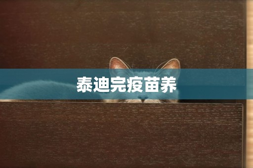 泰迪完疫苗養