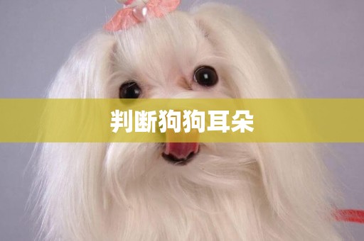 判斷狗狗耳朵
