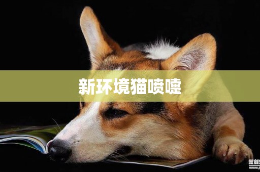 新環境貓噴嚏