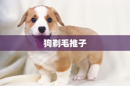 狗剃毛推子