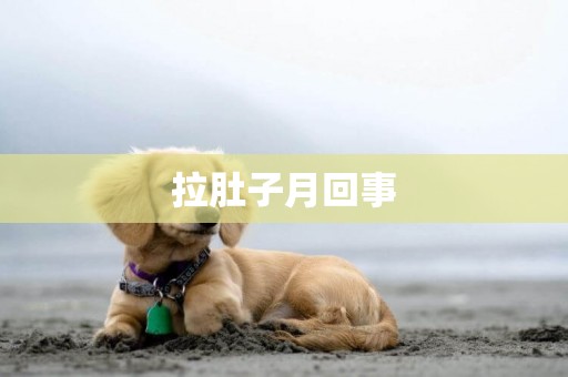 拉肚子月回事
