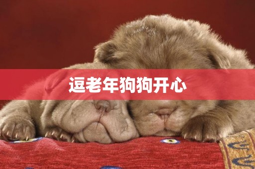 逗老年狗狗開心