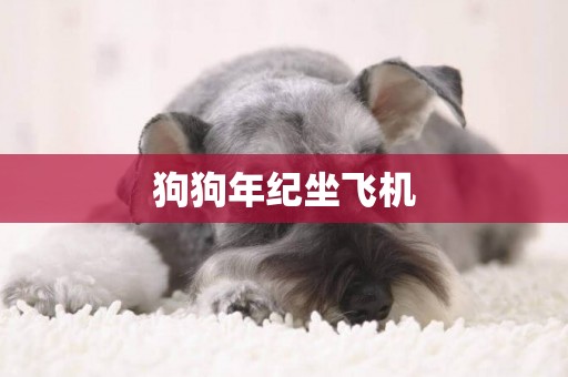 狗狗年紀坐飛機