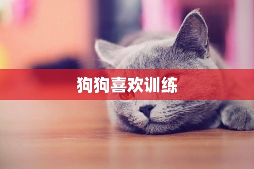 狗狗喜歡訓練