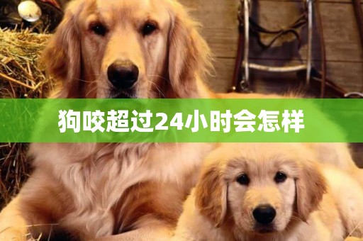 狗咬超過24小時會怎樣