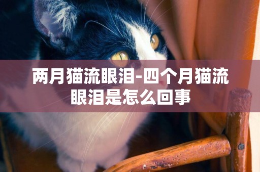 兩月貓流眼淚-四個月貓流眼淚是怎么回事