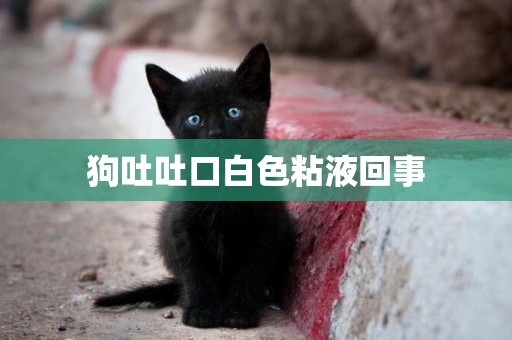 狗吐吐口白色粘液回事