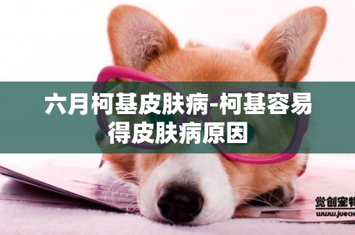 六月柯基皮膚病-柯基容易得皮膚病原因