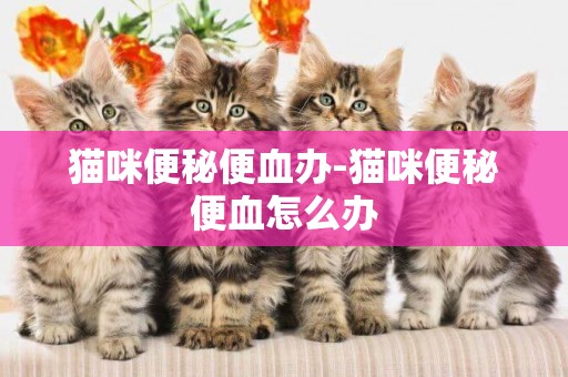 貓咪便秘便血辦-貓咪便秘便血怎么辦