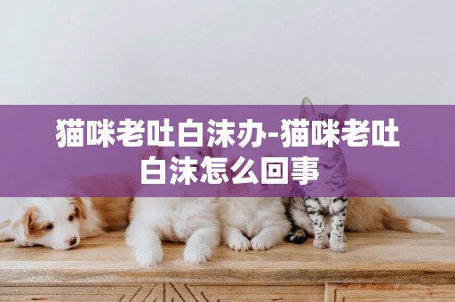 貓咪老吐白沫辦-貓咪老吐白沫怎么回事