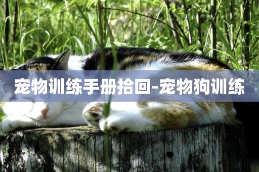 寵物訓練手冊拾回-寵物狗訓練