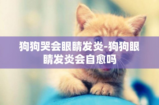 狗狗哭會眼睛發炎-狗狗眼睛發炎會自愈嗎