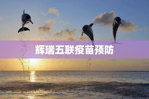 輝瑞五聯疫苗預防