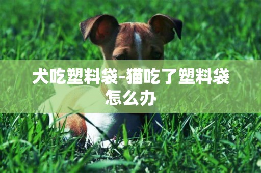 犬吃塑料袋-貓吃了塑料袋怎么辦