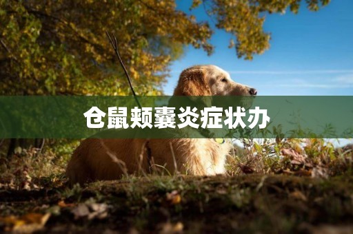 倉鼠頰囊炎癥狀辦