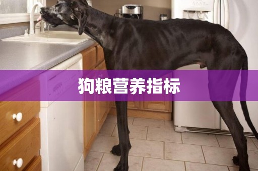 狗糧營養指標