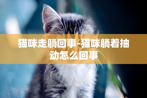貓咪走躺回事-貓咪躺著抽動怎么回事