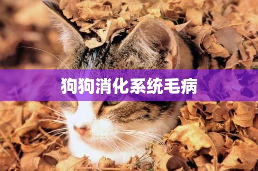狗狗消化系統毛病